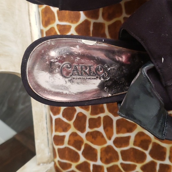 Carlos - Picture 9 of 11